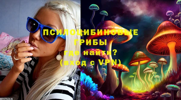 дживик Горно-Алтайск