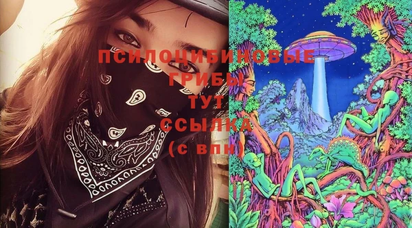 дживик Горно-Алтайск