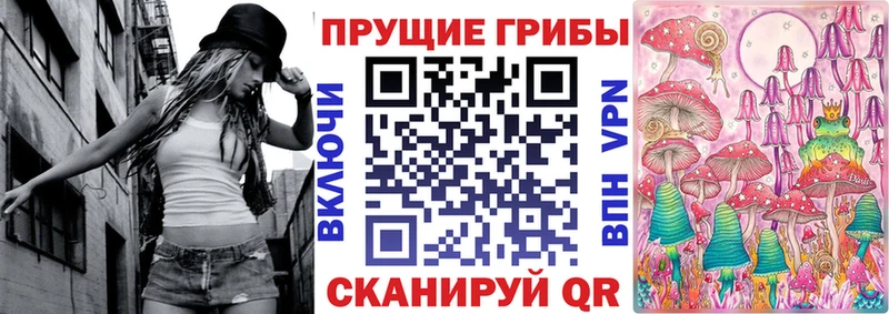 Купить закладки  Касимов  Галлюциногенные грибы мицелий 